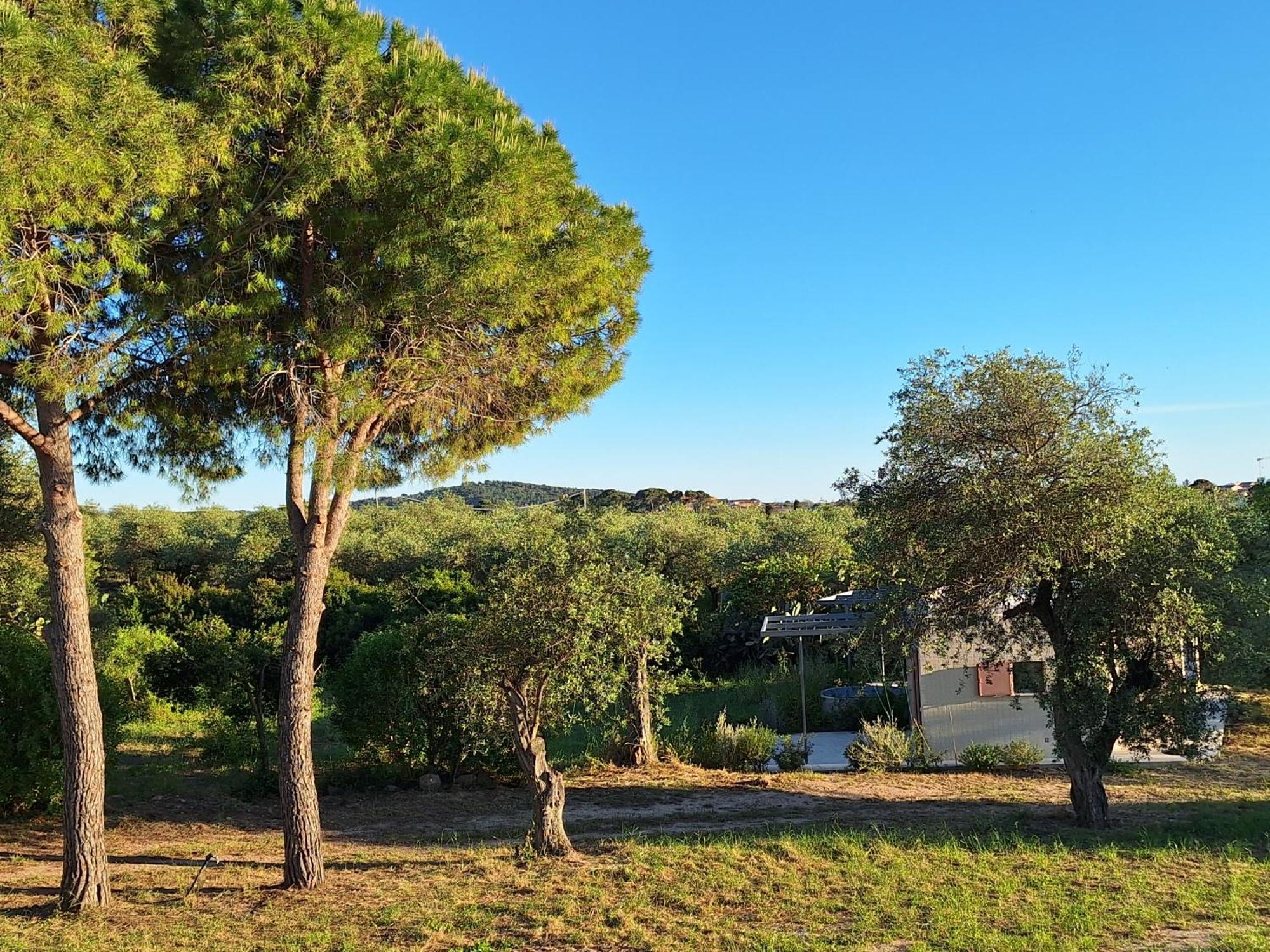 Casale Valverde Alghero Exterior photo